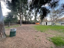 Enlarge photo 42