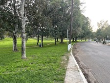 Enlarge photo 47