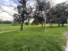 Enlarge photo 49