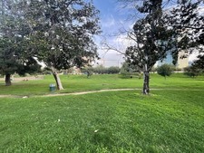 Enlarge photo 50
