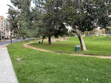 Enlarge photo 52