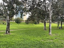 Enlarge photo 53