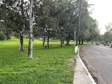 Enlarge photo 54