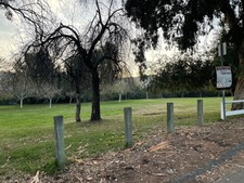 Enlarge photo 61