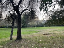 Enlarge photo 64