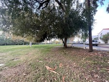 Enlarge photo 67