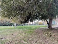 Enlarge photo 68
