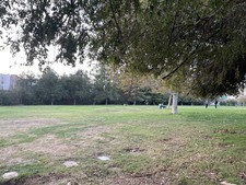 Enlarge photo 69