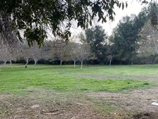 Enlarge photo 71