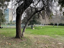Enlarge photo 72
