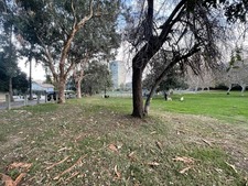 Enlarge photo 73