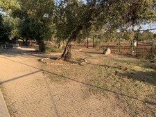 Enlarge photo 14