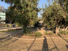 Enlarge photo 17
