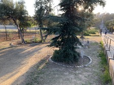 Enlarge photo 29