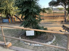 Enlarge photo 35