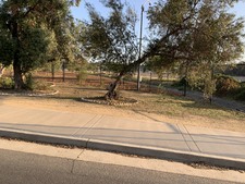 Enlarge photo 39