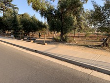 Enlarge photo 40