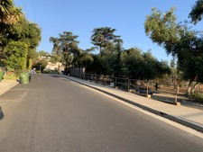 Enlarge photo 42