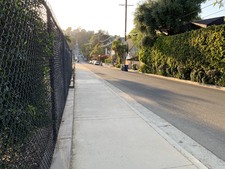 Enlarge photo 52