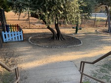 Enlarge photo 59