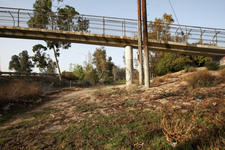 Enlarge photo 30