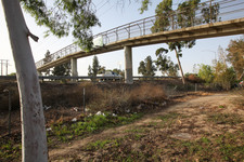 Enlarge photo 31