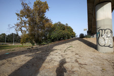 Enlarge photo 32