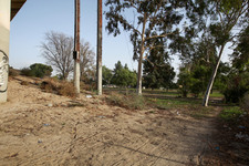 Enlarge photo 34