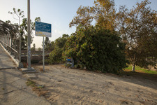 Enlarge photo 38