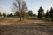 Enlarge photo 41