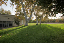 Enlarge photo 49