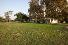 Enlarge photo 51