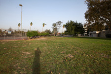 Enlarge photo 52
