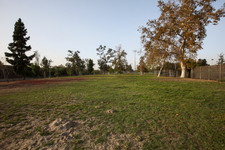 Enlarge photo 53
