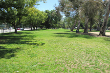 Enlarge photo 56