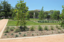 Enlarge photo 59