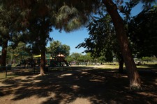 Enlarge photo 67