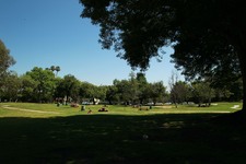 Enlarge photo 68