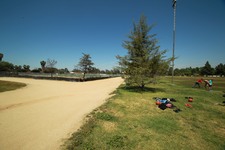 Enlarge photo 92