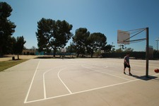 Enlarge photo 95