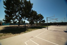 Enlarge photo 97
