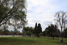 Enlarge photo 28
