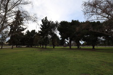 Enlarge photo 33