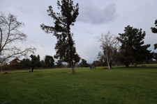 Enlarge photo 34
