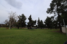 Enlarge photo 35