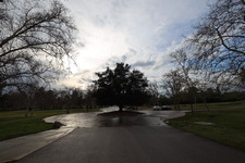 Enlarge photo 36