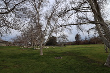 Enlarge photo 37