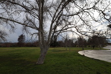 Enlarge photo 38