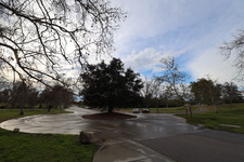 Enlarge photo 39