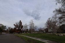 Enlarge photo 41
